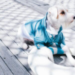 Blue Sky Linen Short Sleeve