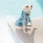 Beach House Polo