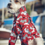 Gone To The Dogs Button Down Shirt Red