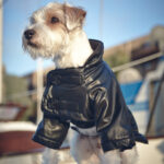 The Jet Setter All Weather Jacket
