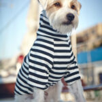 Get Misunderstood Turtleneck - Black/White